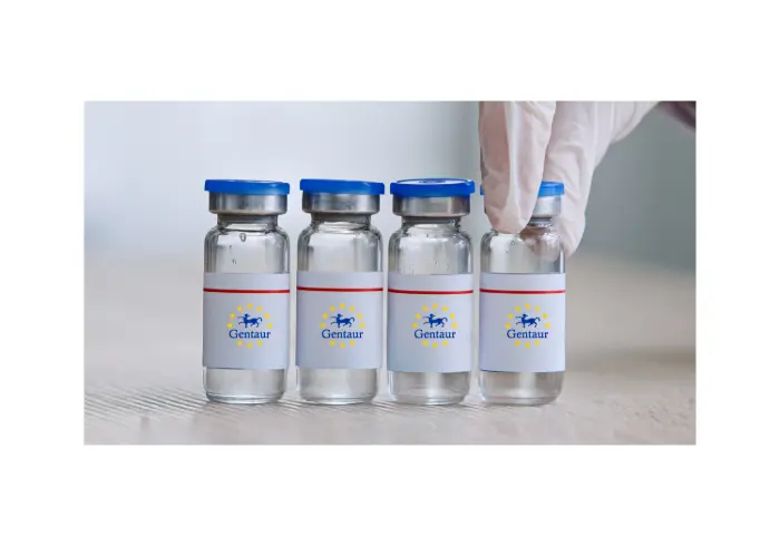 TBEV gE C-end