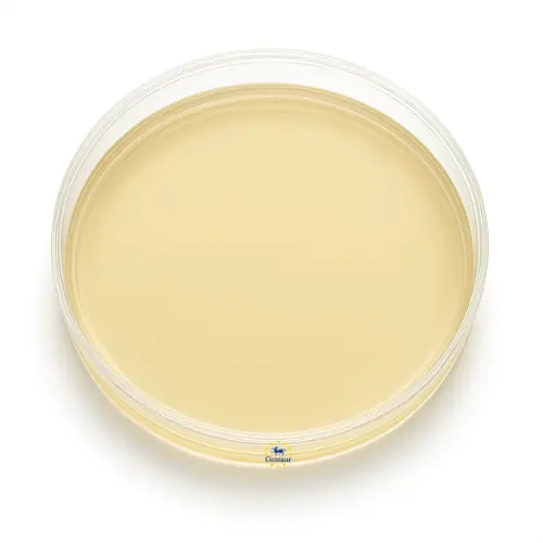 Tryptic Soy Broth (TSB)
