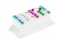 T4 DNA Polymerase 100U